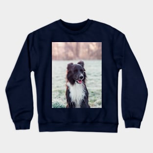 laughing dog Crewneck Sweatshirt